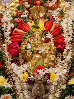 Shri Shiva Pujana by HH Swamiji; Picture Courtesy Shri Abhishek Pai