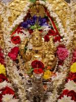 Shri Shiva Pujana by HH Swamiji; Picture Courtesy Shri Abhishek Pai