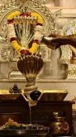 Shodashopachara Puja to Shri Laxmi Narasimha Sannidhih by HH Swamiji; Picture Courtesy Shri Jaikishan Kandlur