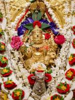 Shri Shiva Pujana by HH Swamiji; Picture Courtesy Shri Abhishek Pai
