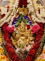 Shri Shiva Pujana by HH Swamiji; Picture Courtesy Shri Abhishek Pai