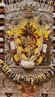 Shri Shiva Pujana by HH Swamiji; Picture courtesy Shri Jaikishan Kandlur