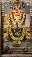 documents/gallery/Chaturmasa_2026,_SAT_Vittal_4th_August_2026/VittalSAT_20260804_085339_JaKa_IMG_20260804_085339.jpg