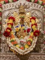 Shri Shiva Pujana by HH Swamiji; Picture Courtesy Shri Abhishek Pai