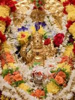 Shri Shiva Pujana by HH Swamiji; Picture Courtesy Shri Abhishek Pai