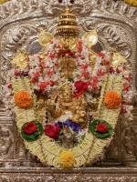 Shri Shiva Pujana by HH Swamiji; Picture Courtesy Shri Abhishek Pai
