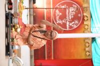 Pujana by HH Swamiji