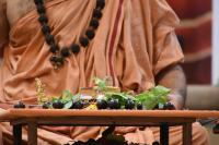 Mandala Puja & Shri Vedavyasa Puja by HH Swamiji; Picture courtesy Shri Abhinav Kalla