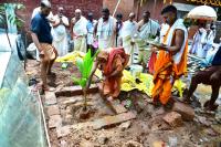 Vriksharopana by HH Swamiji; Picture courtesy Shri Sadashiv Bana