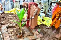 Vriksharopana by HH Swamiji; Picture courtesy Shri Sadashiv Bana