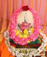 Shri Chandika Homa (15th October 2026); Picture Courtesy Shri Ganesh Damble