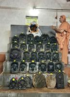 Shodashopachar Puja by HH Swamiji at Nagalaya, SCM Shirali (29 July 2025)