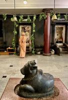 Shodashopachara Puja at HH Shrimat Pandurangashram Swamiji Sannidhi, SCM Shirali, by HH Swamiji (23 Aug 2025)