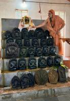 Vardhanti of SCM Nagalaya: Shodashopachara Puja by HH Swamiji (12 April 2026)