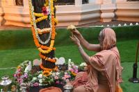 Shami Pujana by HH Swamiji; Picture Courtesy Shri Dinesh Karkal